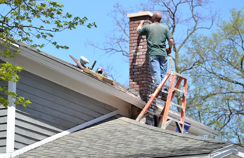 Chimney & Fireplace Inspections Services in Vienna, VA